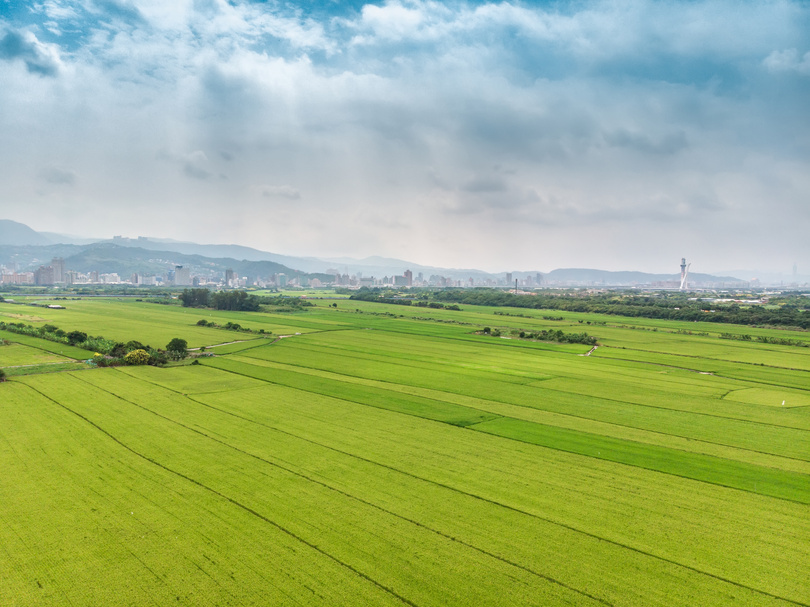 Landscape View of Guandu Plain, Taipei, Taiwan