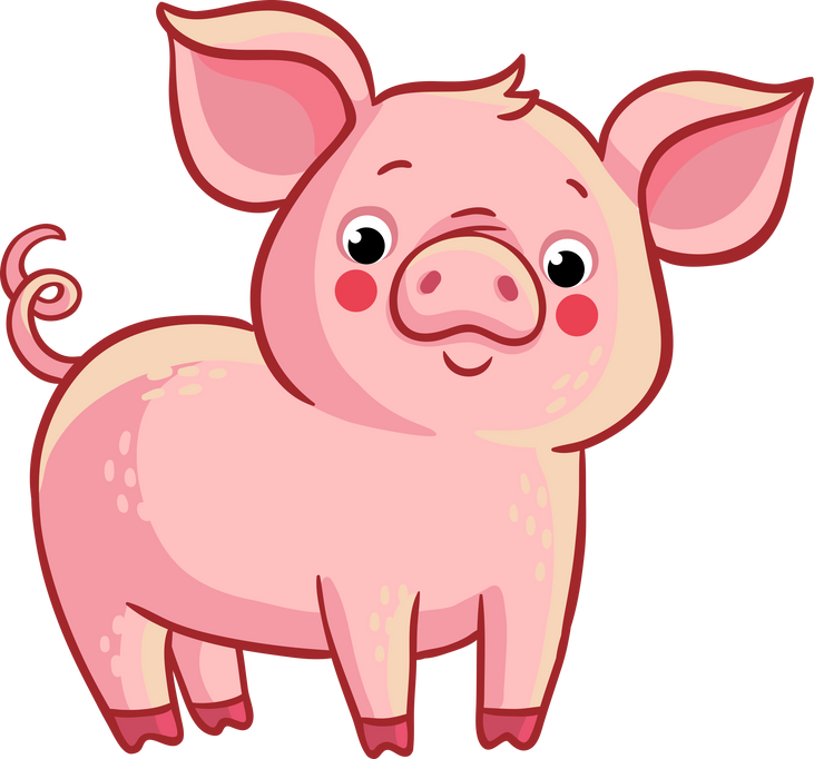 Cartoon Pig Illustration