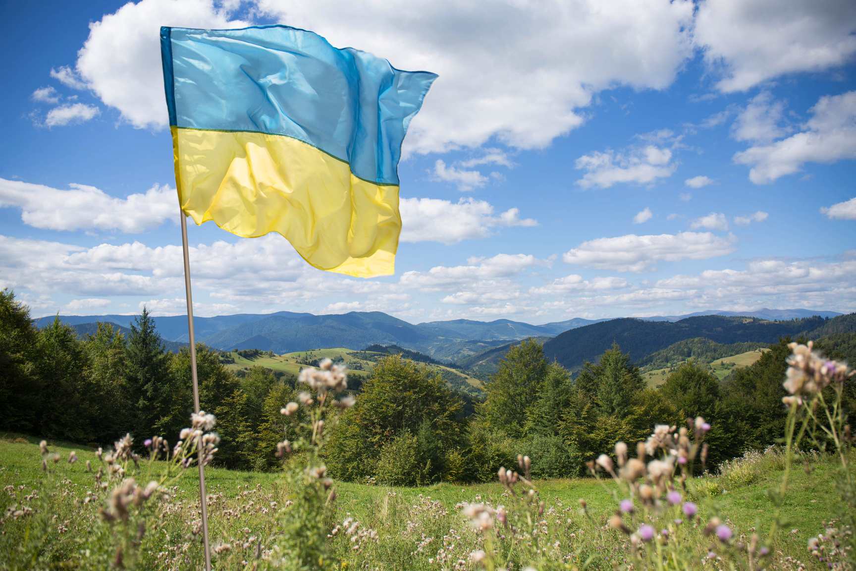 The Ukrainian flag is flying over the Ukrainian Carpathian Mountains